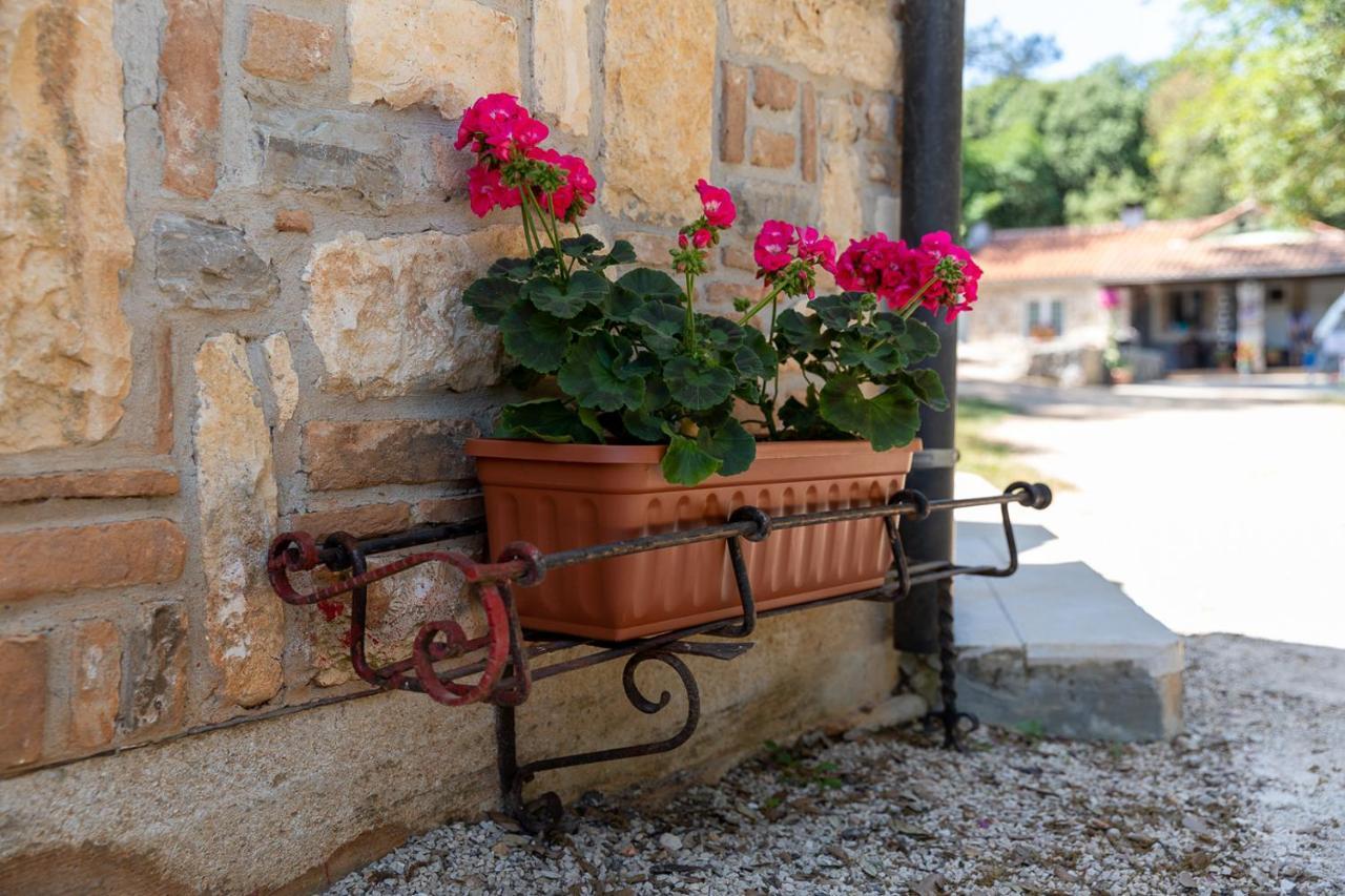 Holiday House Hana Rovinj Buitenkant foto