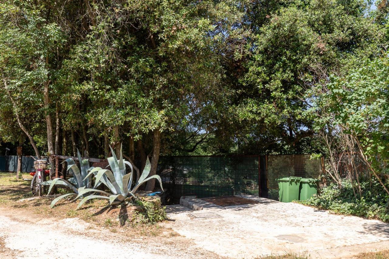 Holiday House Hana Rovinj Buitenkant foto